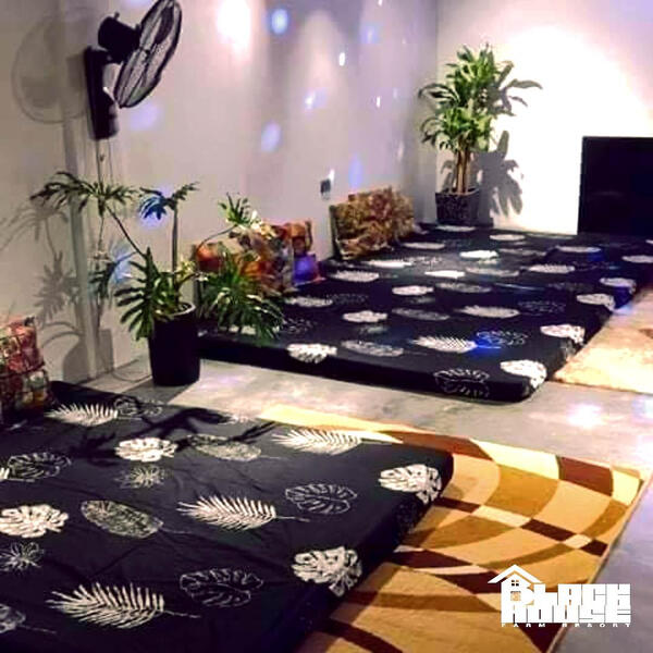 Lounge Area (can be 1 BIG ROOM)