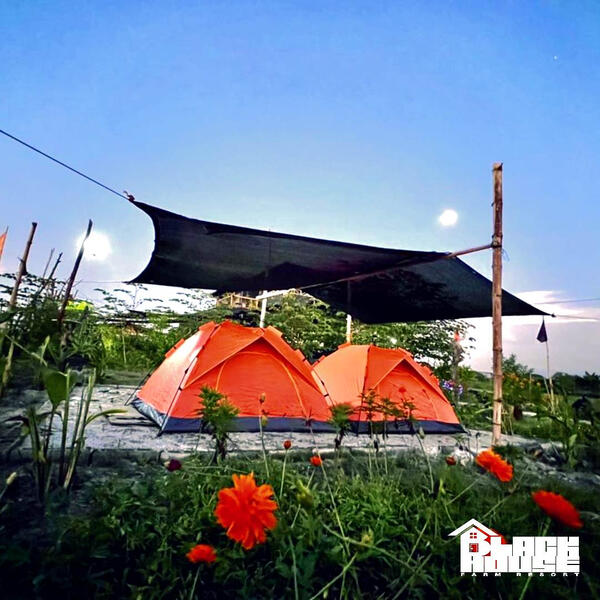 !NEW! Outdoor Camping